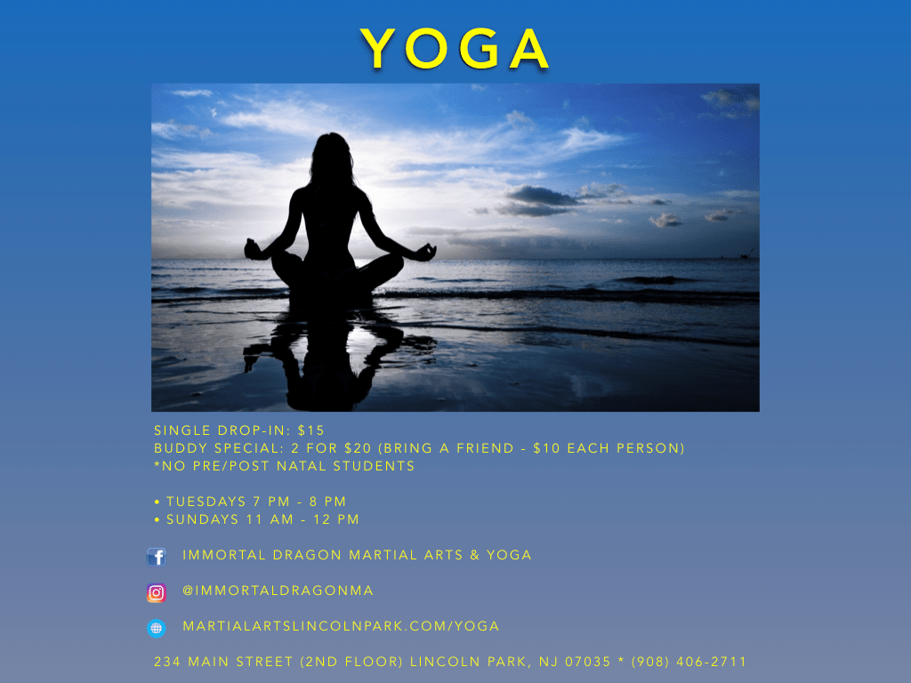 IDMA New Flyer Simple .001